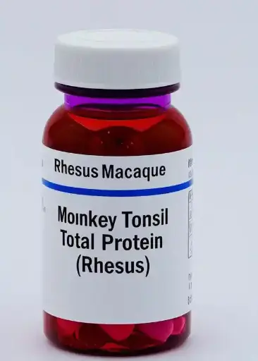 [UT-707] Monkey Tonsil Total Protein, Rhesus - 0.5 mg
